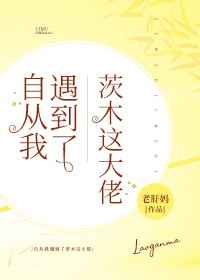 [综漫] 自从我遇到了茨木这大佬